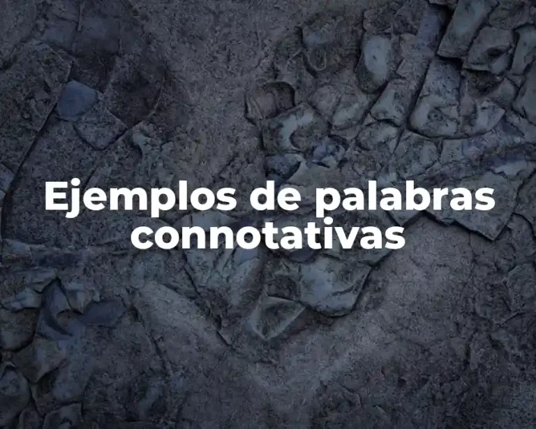 Ejemplos de palabras connotativas