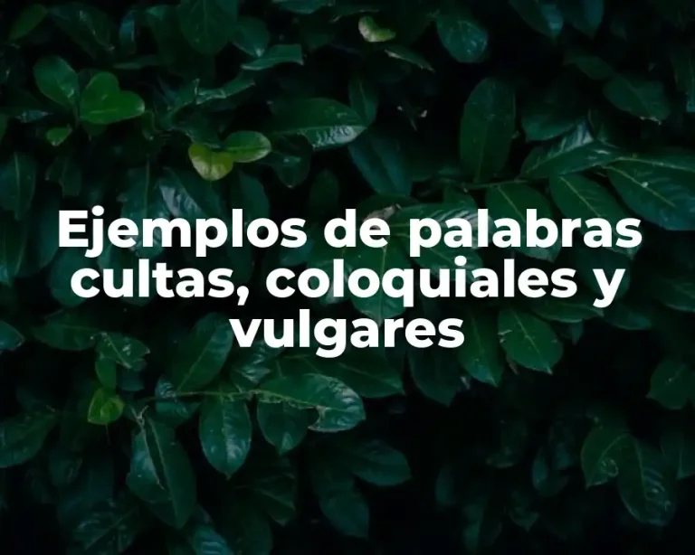 Ejemplos de palabras cultas, coloquiales y vulgares