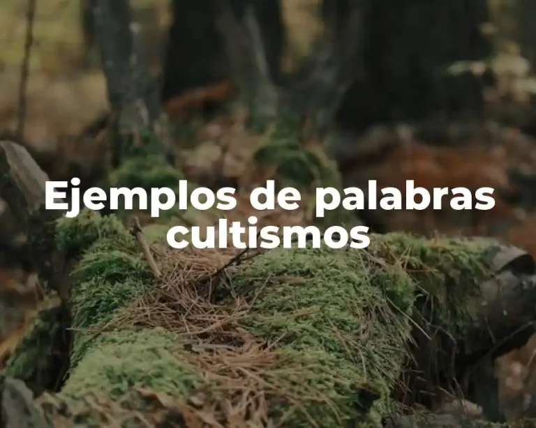 Ejemplos de palabras cultismos