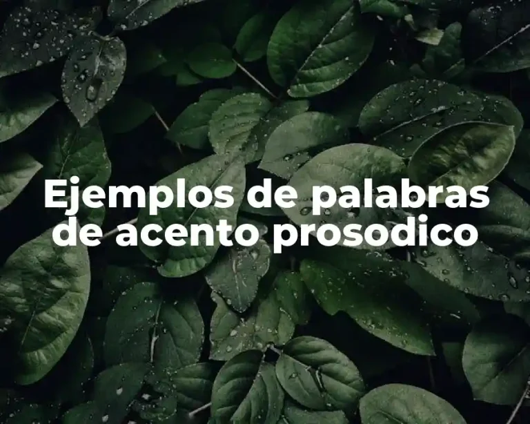 Ejemplos de palabras de acento prosodico