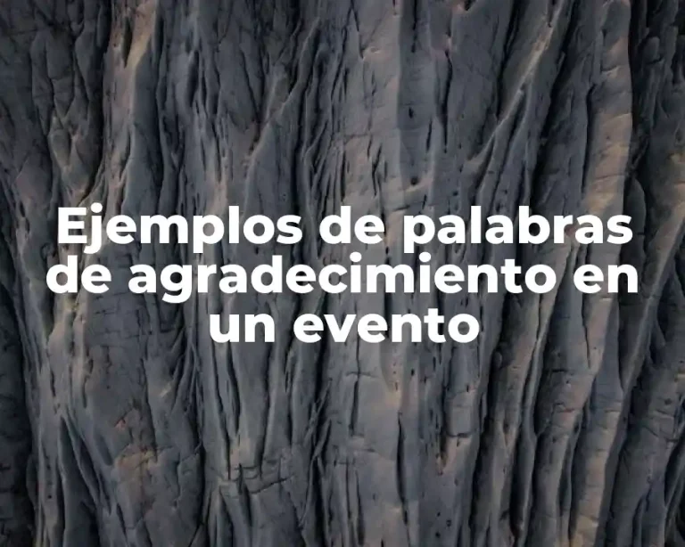 Ejemplos de palabras de agradecimiento en un evento