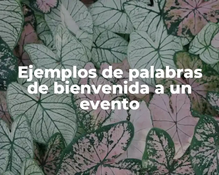 Ejemplos de palabras de bienvenida a un evento