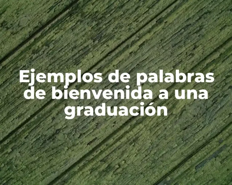 Ejemplos de palabras de bienvenida a una graduación