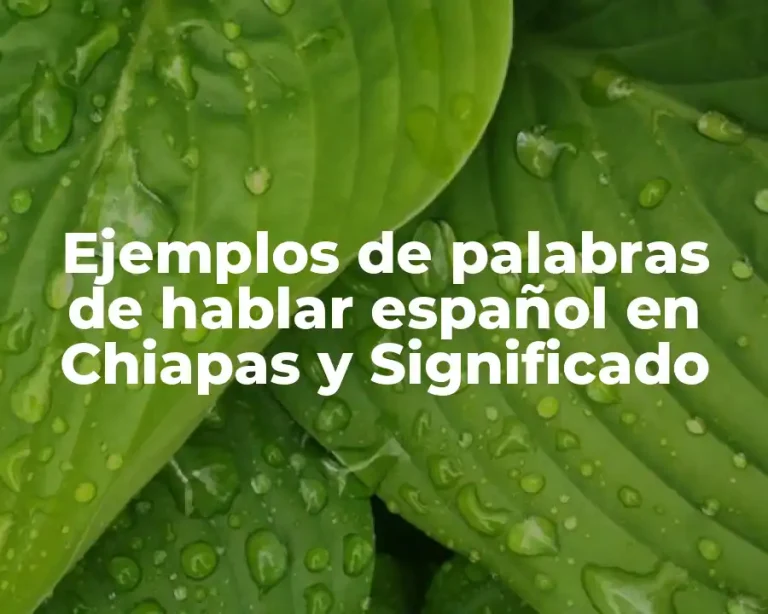Ejemplos de palabras de hablar español en Chiapas y Significado