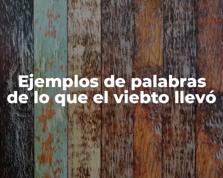 Ejemplos de palabras de lo que el viebto llevó
