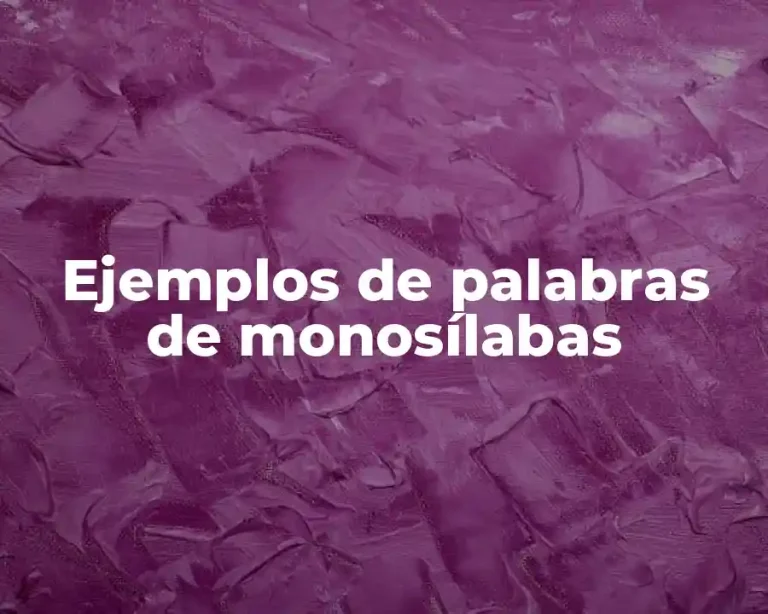 Ejemplos de palabras de monosílabas