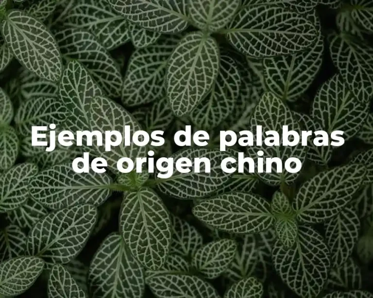 Ejemplos de palabras de origen chino