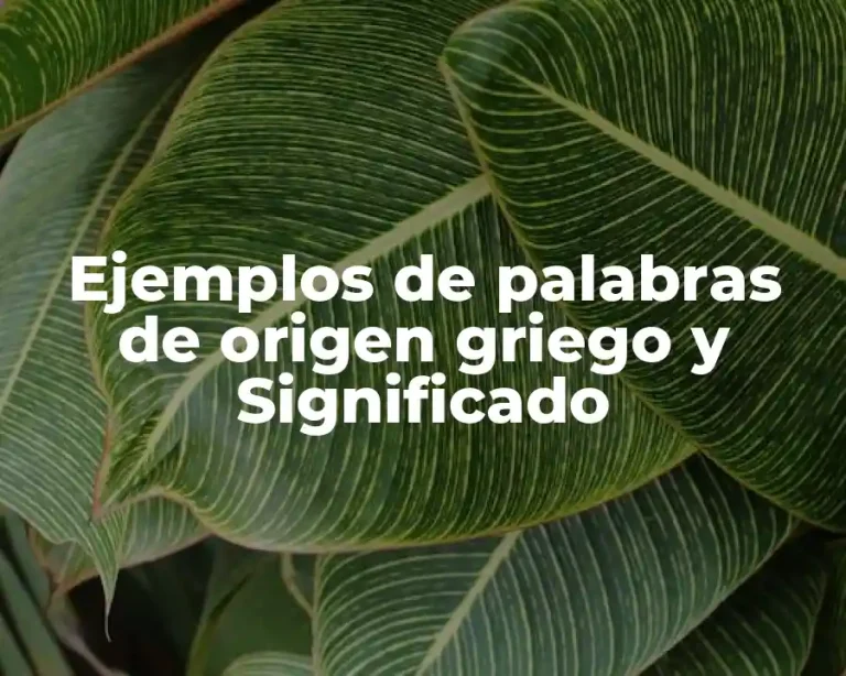 Ejemplos de palabras de origen griego y Significado