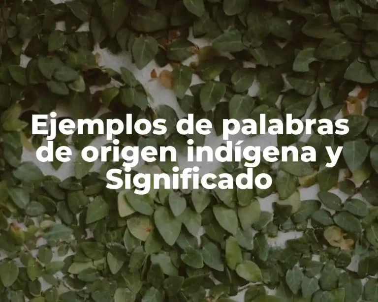 Ejemplos de palabras de origen indígena y Significado
