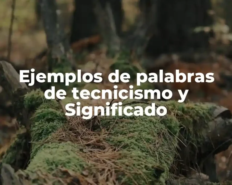 Ejemplos de palabras de tecnicismo y Significado