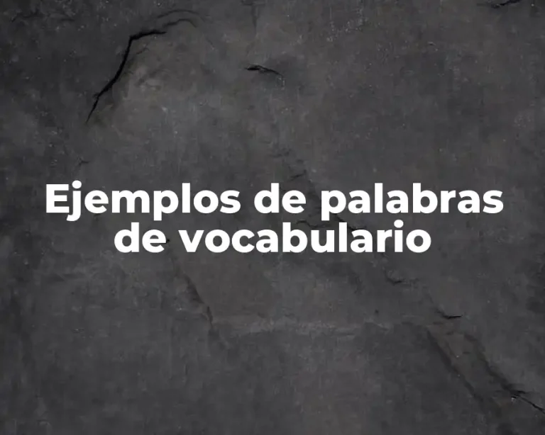 Ejemplos de palabras de vocabulario