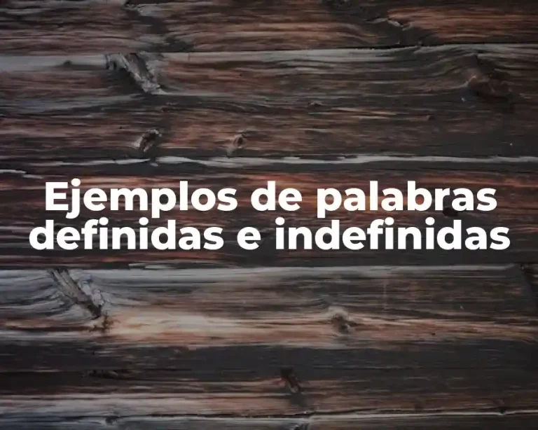 Ejemplos de palabras definidas e indefinidas