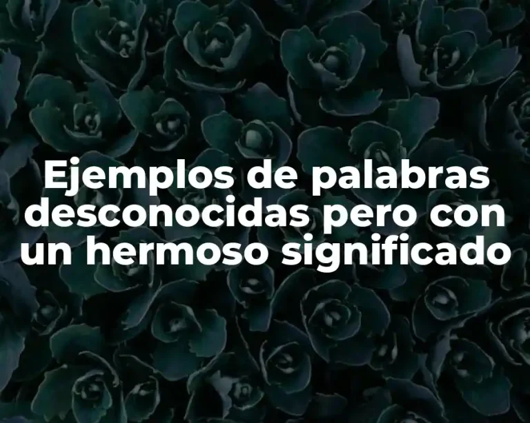 Ejemplos de palabras desconocidas pero con un hermoso significado