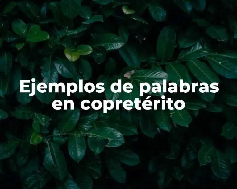 Ejemplos de palabras en copretérito
