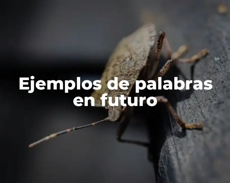 Ejemplos de palabras en futuro