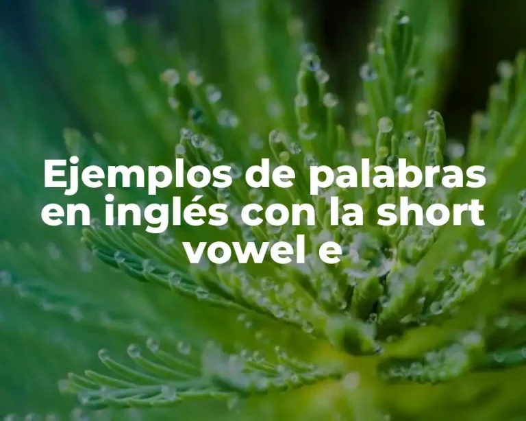 Ejemplos de palabras en inglés con la short vowel e