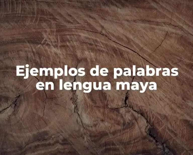 Ejemplos de palabras en lengua maya