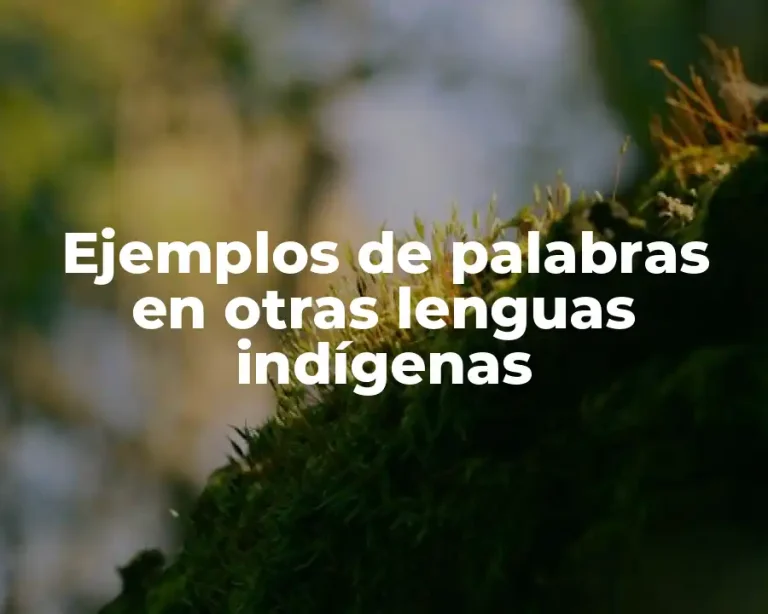 Ejemplos de palabras en otras lenguas indígenas