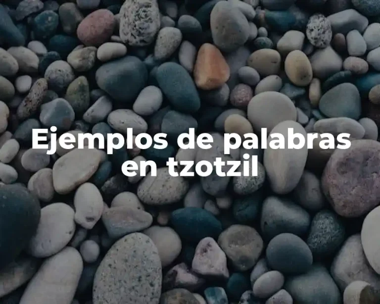 Ejemplos de palabras en tzotzil