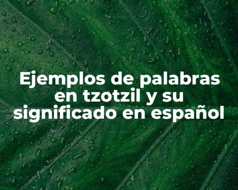 Ejemplos de palabras en tzotzil y su significado en español