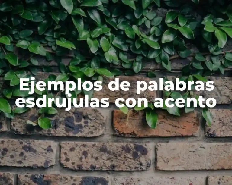 Ejemplos de palabras esdrujulas con acento