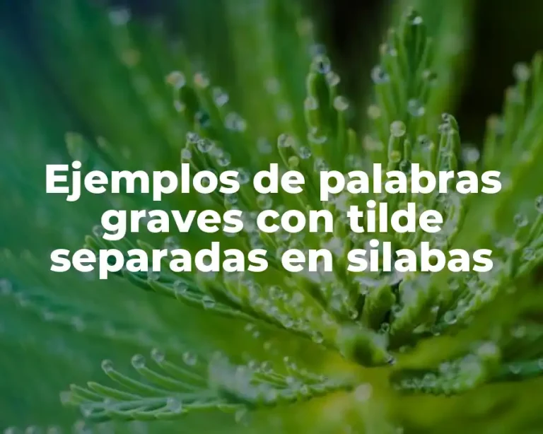 Ejemplos de palabras graves con tilde separadas en silabas