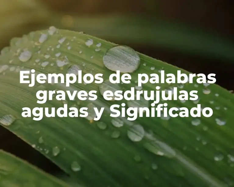 Ejemplos de palabras graves esdrujulas agudas y Significado
