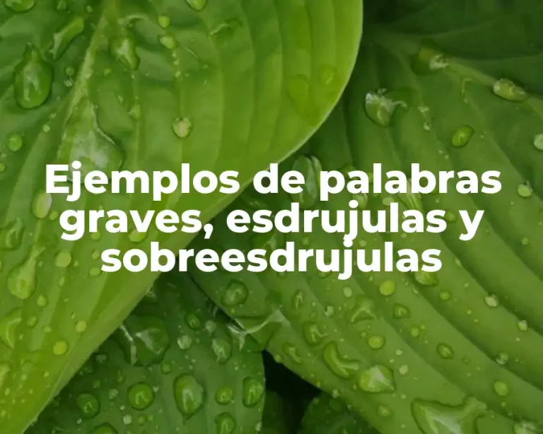 Ejemplos de palabras graves, esdrujulas y sobreesdrujulas