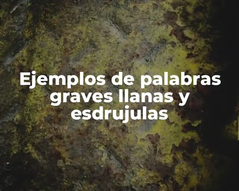 Ejemplos de palabras graves llanas y esdrujulas