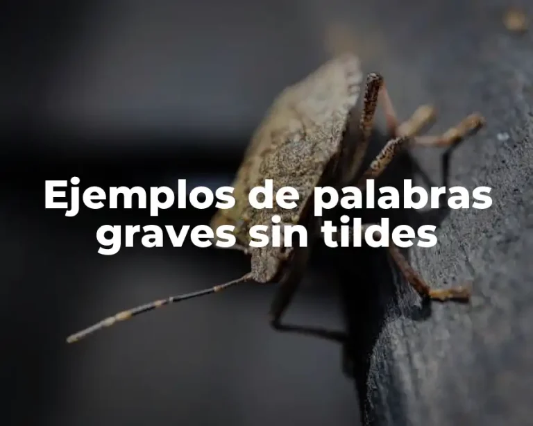 Ejemplos de palabras graves sin tildes