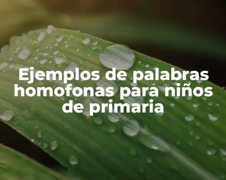 Ejemplos de palabras homofonas para niños de primaria