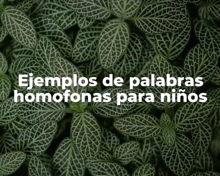 Ejemplos de palabras homofonas para niños