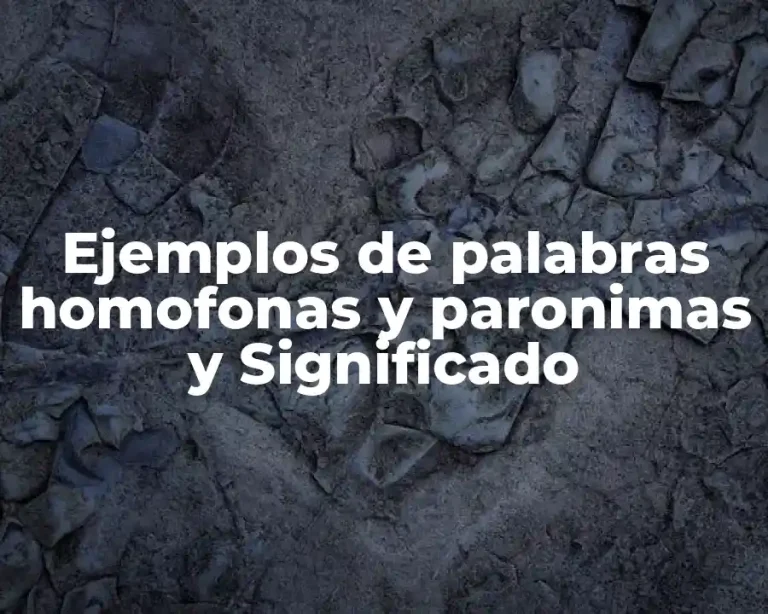 Ejemplos de palabras homofonas y paronimas y Significado
