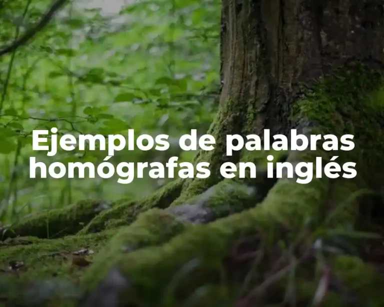 Ejemplos de palabras homógrafas en inglés