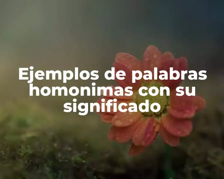 Ejemplos de palabras homonimas con su significado