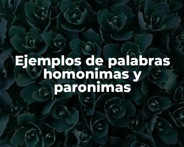 Ejemplos de palabras homonimas y paronimas