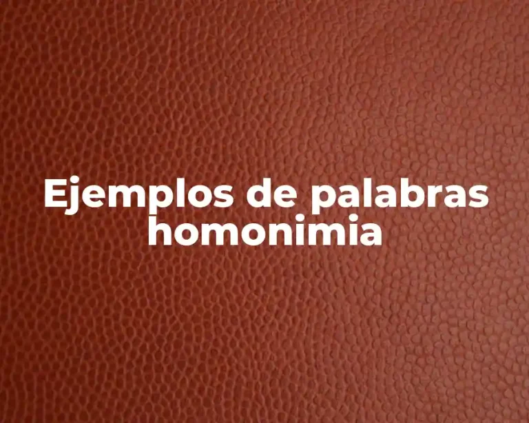 Ejemplos de palabras homonimia