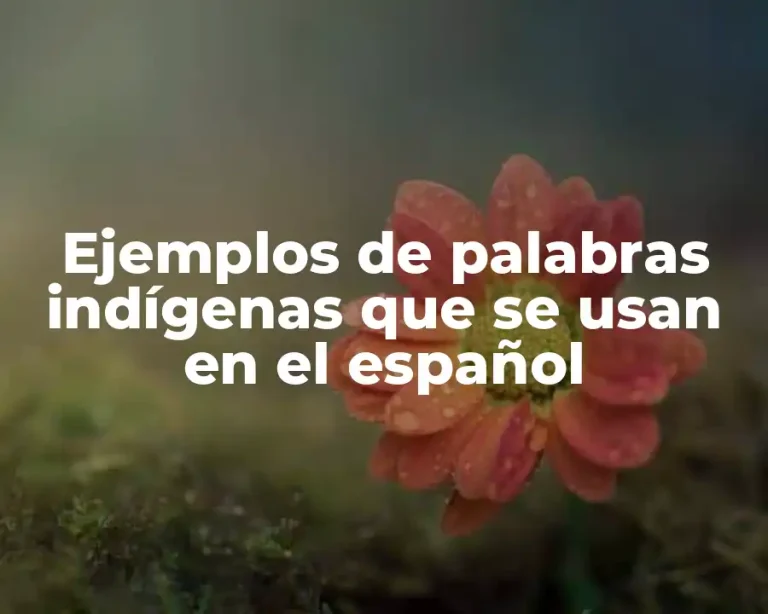 Ejemplos de palabras indígenas que se usan en el español
