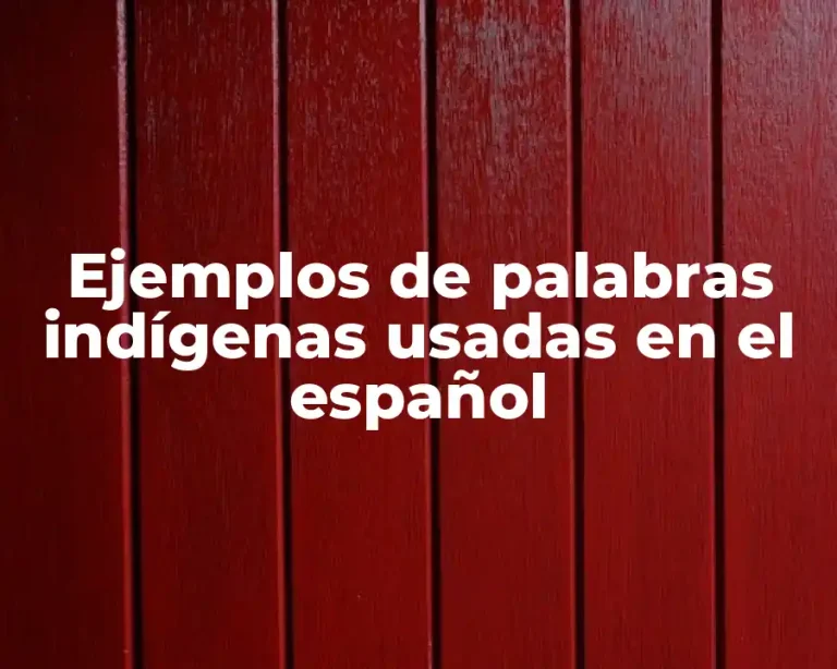 Ejemplos de palabras indígenas usadas en el español