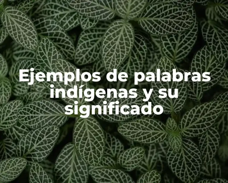 Ejemplos de palabras indígenas y su significado