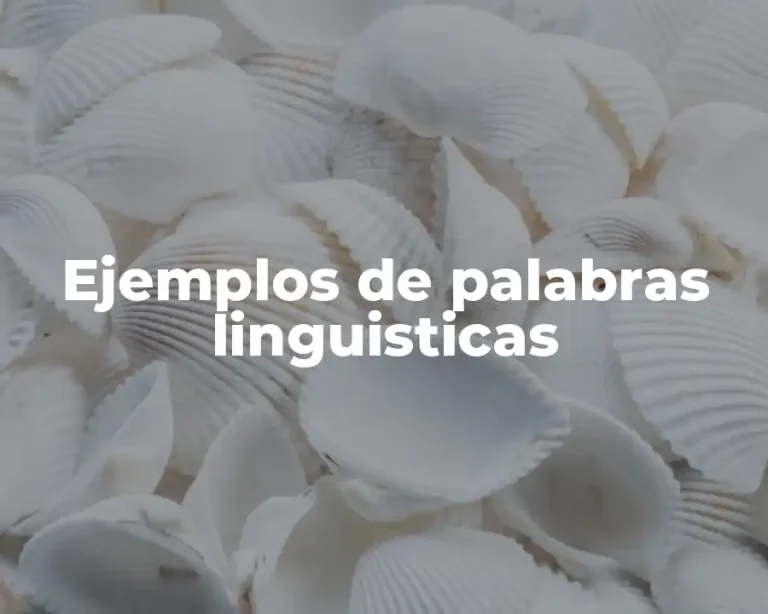 Ejemplos de palabras linguisticas