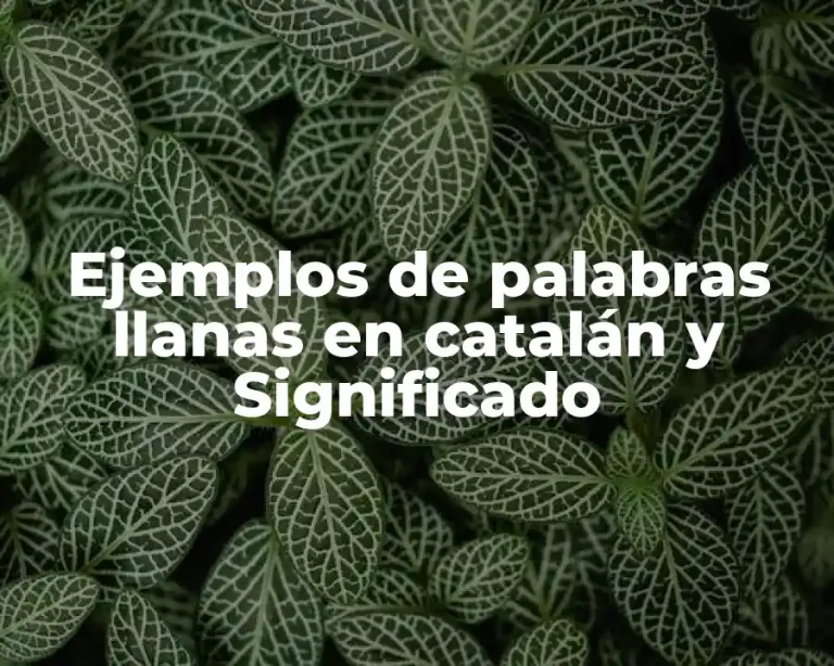 Ejemplos de palabras llanas en catalán y Significado