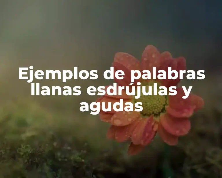 Ejemplos de palabras llanas esdrújulas y agudas