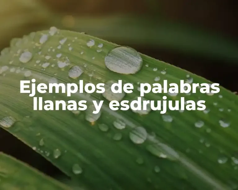 Ejemplos de palabras llanas y esdrujulas