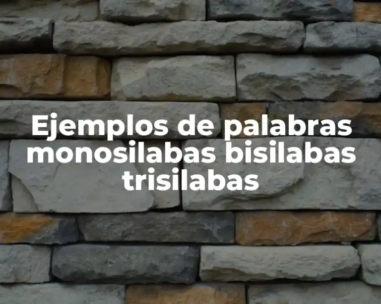 Ejemplos de palabras monosilabas bisilabas trisilabas
