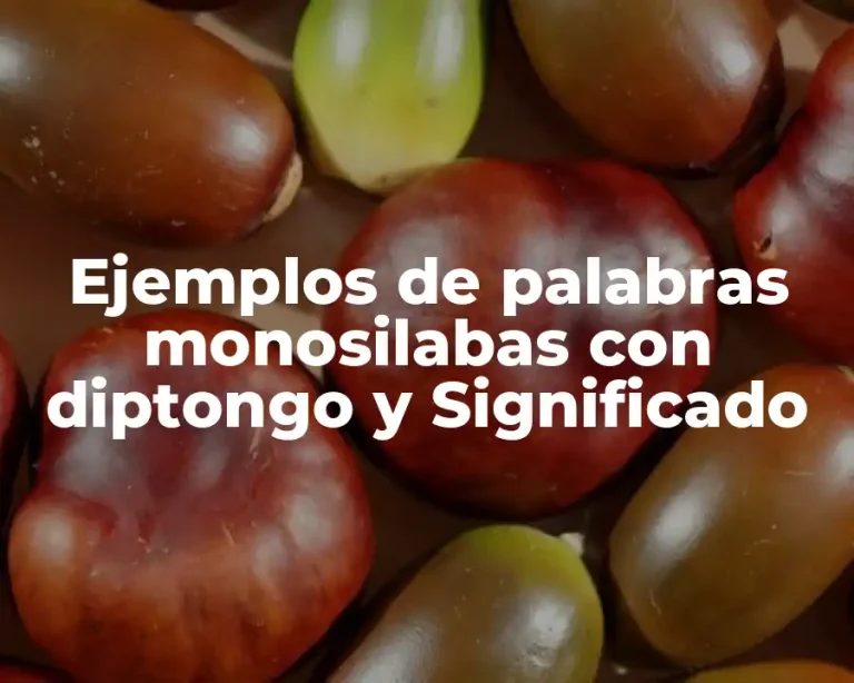 Ejemplos de palabras monosilabas con diptongo y Significado