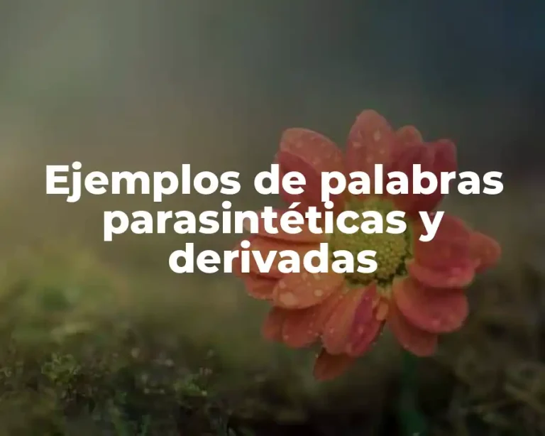 Ejemplos de palabras parasintéticas y derivadas