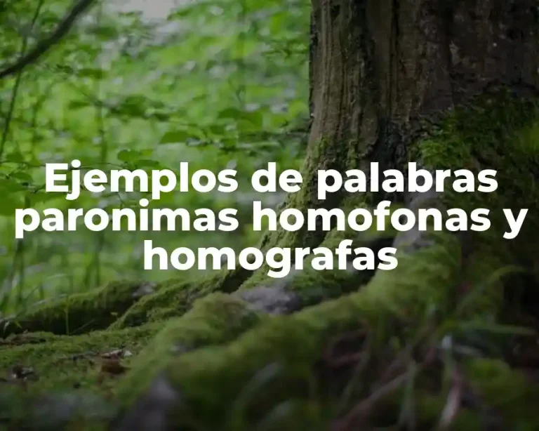 Ejemplos de palabras paronimas homofonas y homografas