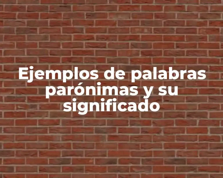 Ejemplos de palabras parónimas y su significado