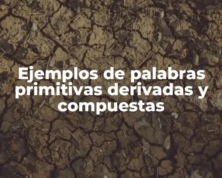 Ejemplos de palabras primitivas derivadas y compuestas